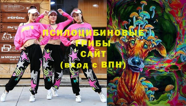 мдпв Кукмор