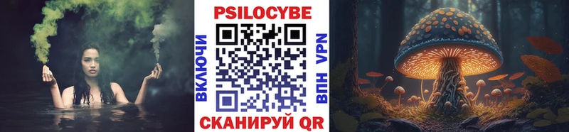 Купить где  Боровск  Псилоцибиновые грибы мицелий 
